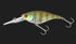 JACKALL Bass Lure Soul Flat 58SF Young Gill