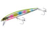 JACKALL Big Backer Anchovy 120SL Super Spanish Mackerel Candy