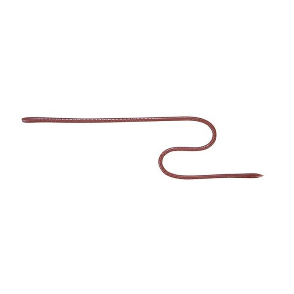 JACKALL Worm Long M 16 inch Light Earthworm