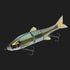 JACKALL Seabass Lure Dows Swimmer 180SF Round Octopus Konoshiro