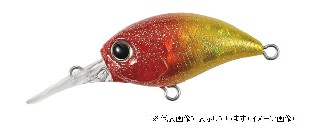 DUO Tetra Works Kurakura Gold Red Head