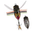 DUO Realis True insects Giant swallowtail moth