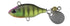 DUO Realis Spin 40 Site Chart Gill