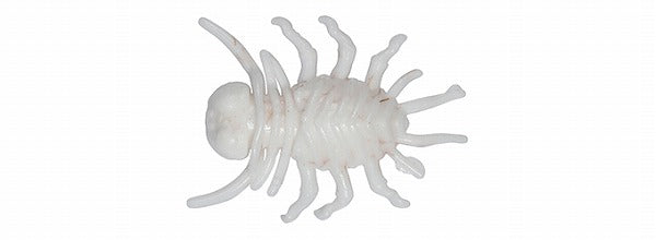 DUO Realis Small Ninja Bug White Fall Webworm