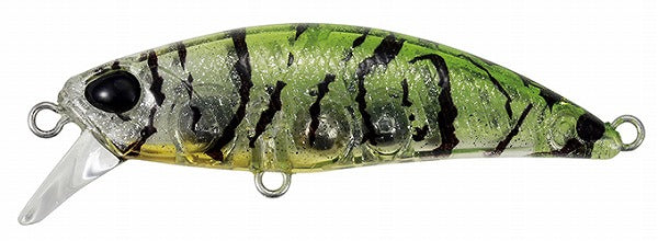 DUO Tetra Works Toto 48HS LG Horned Shrimp