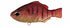 DUO Realis Decanomasegil Burning Red Gill