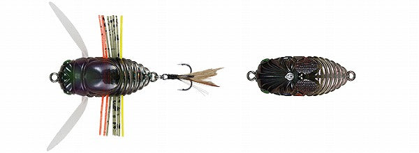 DUO Realis Small True Bug Jewel Beetle