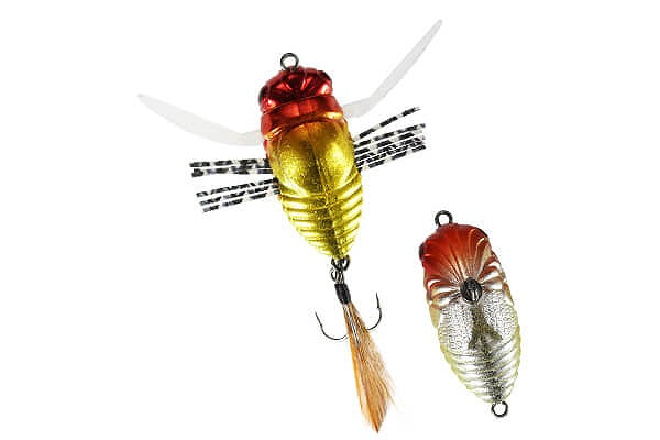 Duo Worm Realis True Bug Firefly