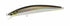 DUO Seabass Lure Tide Minnow Sprout 100SF Prime Konoshiro