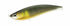 DUO Seabass Lure Rough Trail Maki Flat 155F Fallen Ayu