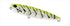 DUO Realis Pencil 85 Black Porgy CCC0740 Lemon Shrimp