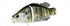 Duo Bass Lure Realis Snappy Crappie ACC3532 White Crappie
