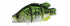 DUO Bass Lure Realis Snappy Clappy CDA3053 Pond Bass