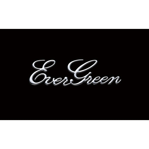 EVERGREEN EG emblem decal