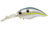 EVERGREEN Rattle in Wild Hunt #289 Queen Shad