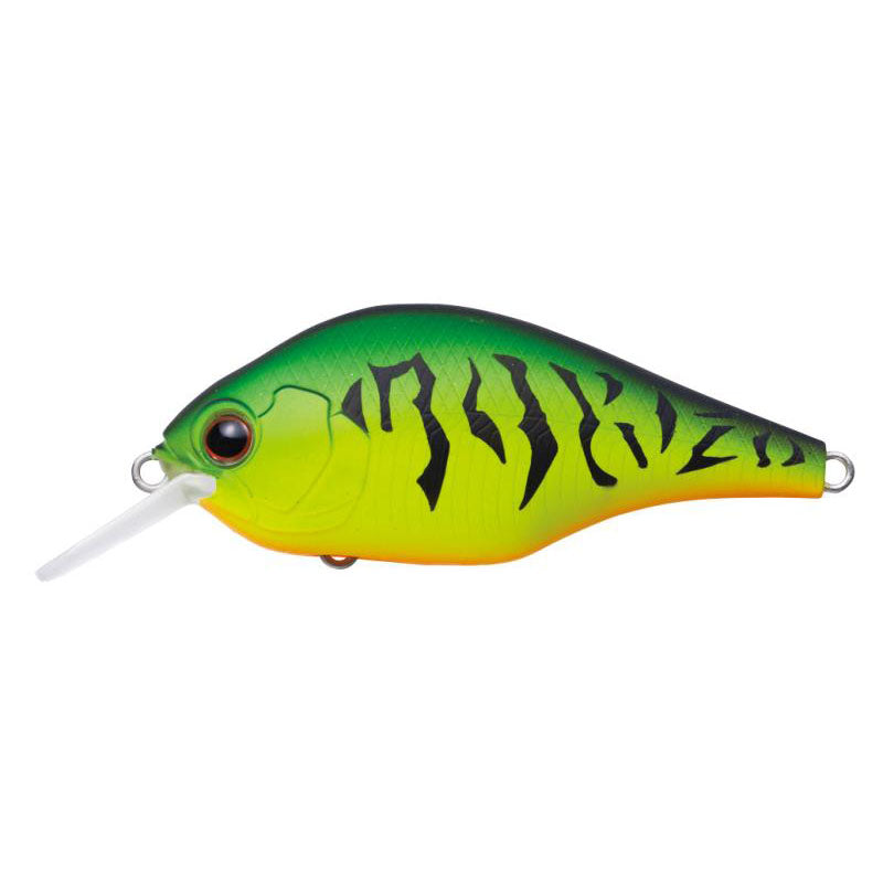 EVERGREEN Zerg #46 Matt Hot Tiger