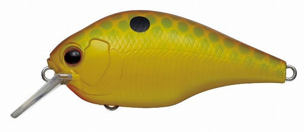 EVERGREEN Zeruku Petit #361 Citrus Chart