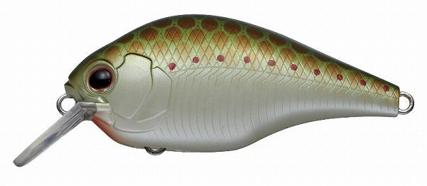 EVERGREEN Zerg Petit #373 Olive Copper Shad
