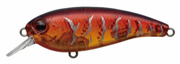 EVERGREEN Belcanto #19 Prespawn Dynamite