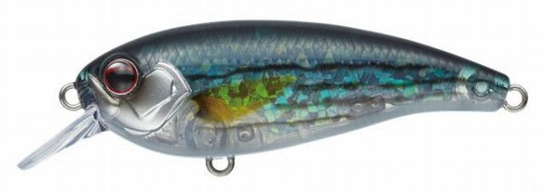 EVERGREEN Belcanto #389 Flash Inakko