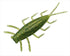 EVERGREEN Geji 1.8 inch #131 Grasshopper