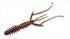 EVERGREEN Worm 2020 C-4 Shrimp 2.8 inch #134 Fishing Worm