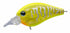 EVERGREEN Bass Lure Piccolo Dive Shallow #67 Flash Chart