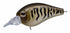 EVERGREEN Bass Lure Piccolo Dive Shallow #384 Muddy Bull