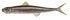 EVERGREEN Worm Last Ace 95F #138 Neon Smelt