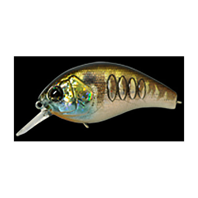 deps Corrigan Magnum 150 #30 Prism Gill