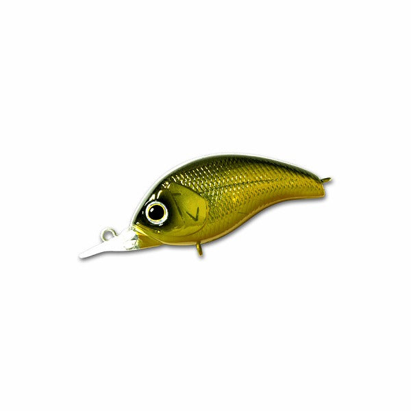 deps Corrigan-MR #01 GM Kurokin