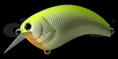 deps Evoque 2.0 #04 chart back