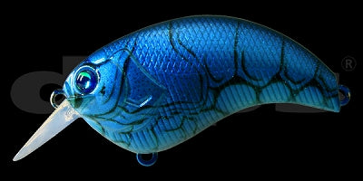 deps Evoque 2.0 #13 Florida Blue