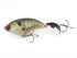 Depth Bass Lure Evoque Zero 150 #04 Scum Perch *Limit 1 per person