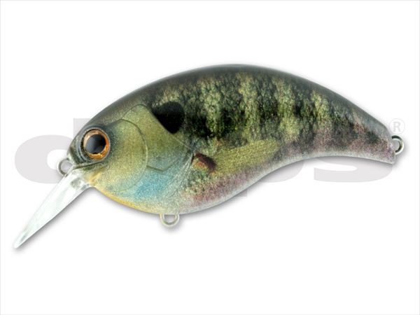 deps Bass Lure EVOKE 1.8 #10 Real Bluegill