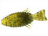 deps deps Worm Bull Flat 3.8 inch #52 Green Pumpkin Chartreuse