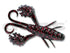 deps Becon Claw #88 Black/Red Flake