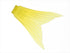 deps highsider 172 spare tail yellow