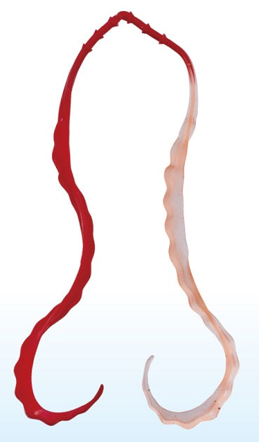 Gamakatsu Tairaba Sakuragen 3D Soft Tie #22 Solid Red/Keimra Orange