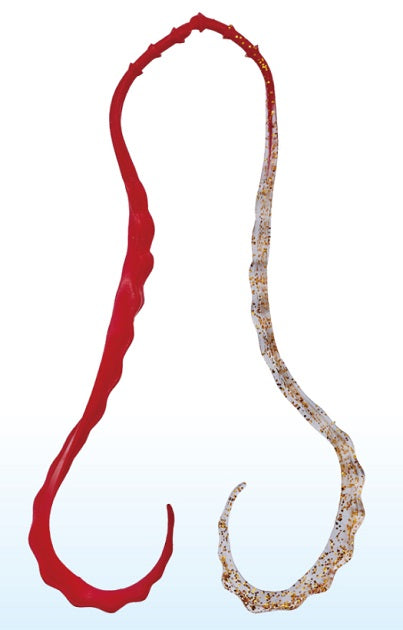 Gamakatsu Tairaba Sakuragen 3D Soft Tie #23 Solid Red/Clear Gold