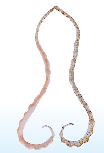 Gamakatsu Tairaba Sakuragen 3D Soft Tie #24 Keimura Orange/Clear Gold