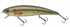 Gamakatsu Bass Lure Avenge Minnow 170 #5 Young Carp