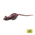 TIEMCO CT Wild Rat ECO #10 Dorcus