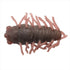 TIEMCO Worm Critter Tackle Cicada Worm 16 Dark Earthworm