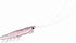 DAIWA Comfortable Real Krill S, Chameleon Pink