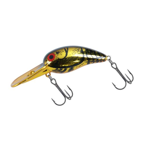 DAIWA Tiny Wild Peanuts Kinkira Kinklaw