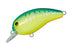 DAIWA Tiny Peanuts SSR Blue Back Chart