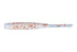 DAIWA Gekka Bijin Beam Stick Gokumi 2.2 inch Salmon Flakes