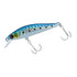 DAIWA Barracuda Hunter Minnow 50S Sardine