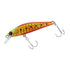 DAIWA Barracuda Hunter Minnow 50S Burning Gold Sardine